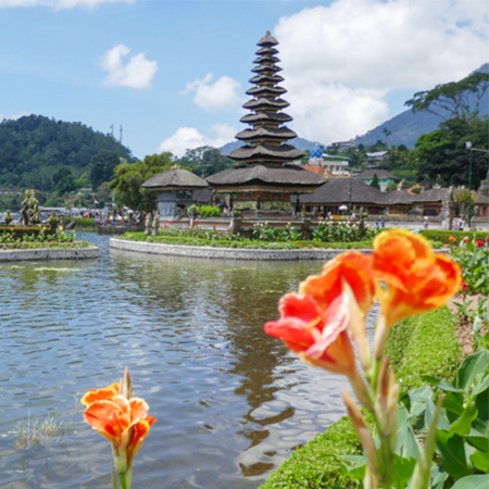 Temple-Tours